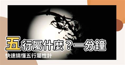 如何知道五行屬什麼|【五行屬什麼怎麼算】五行屬什麼？算命看一生運勢！線上生辰八。